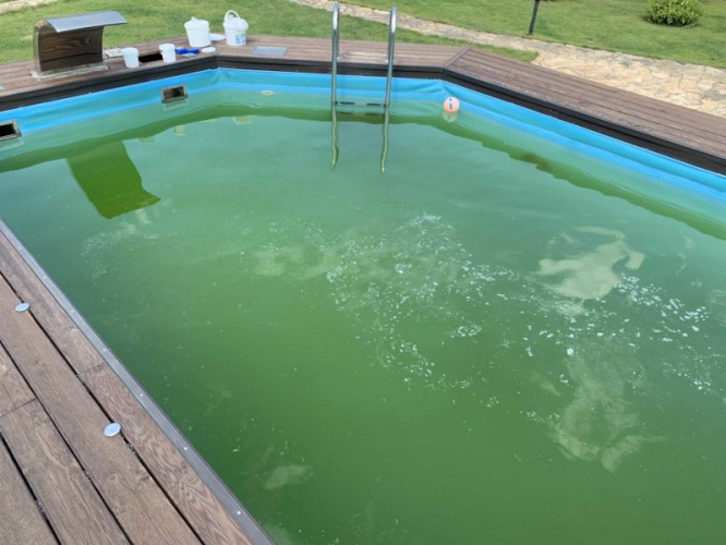 Зеленеет вода в бассейне —  причины, способы очистки
